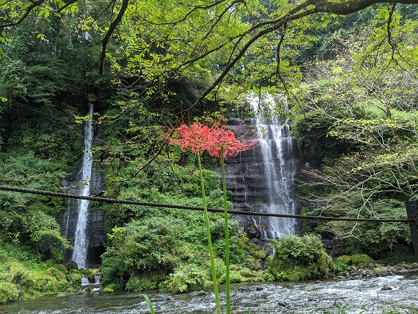 太郎次郎滝と赤い花